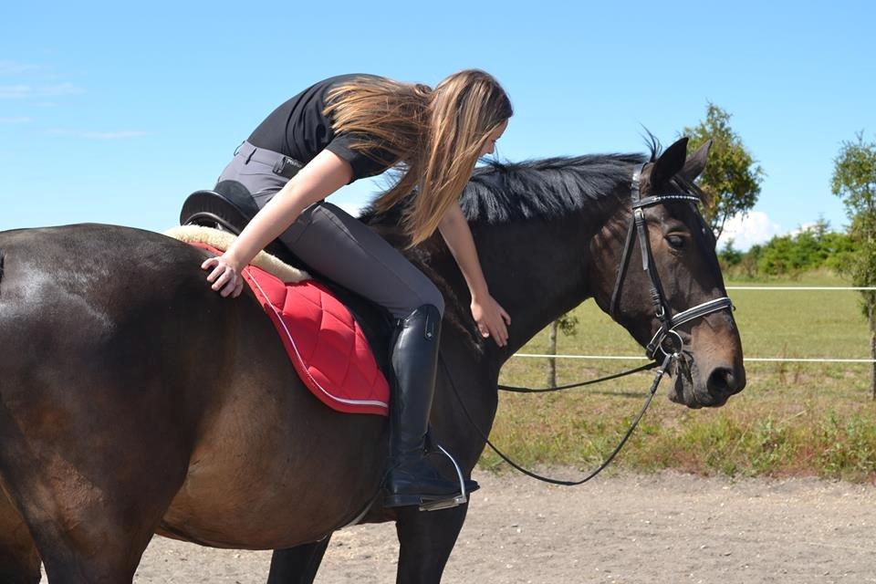 Anden særlig race Hermione billede 6