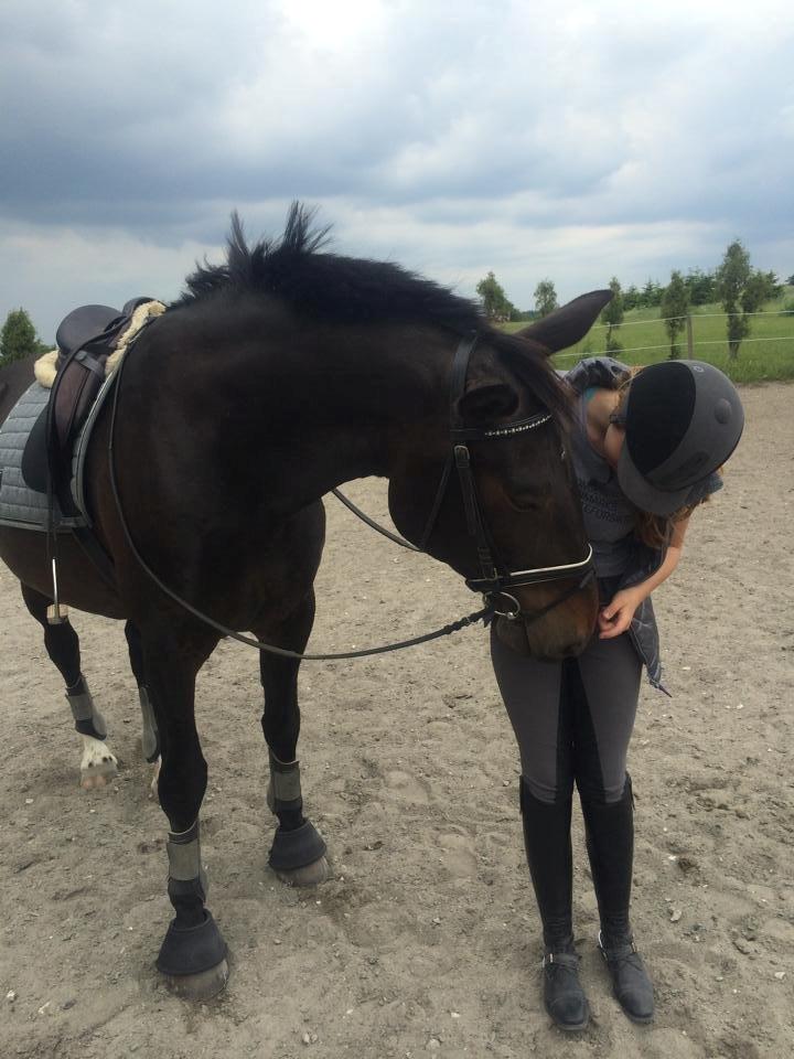 Anden særlig race Hermione billede 7