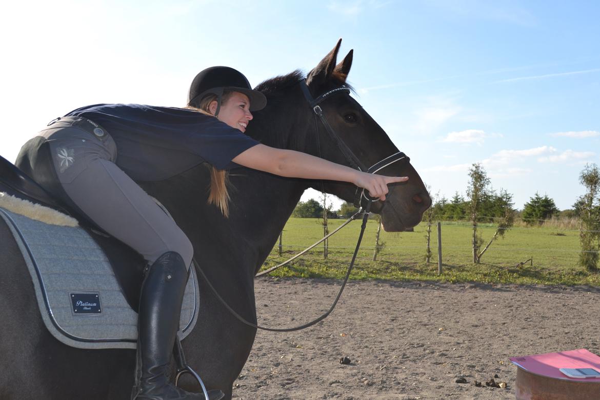 Anden særlig race Hermione billede 11
