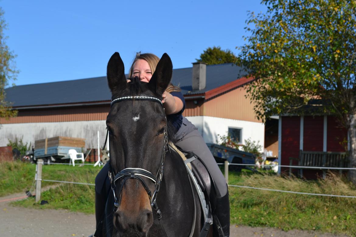 Anden særlig race Hermione billede 13