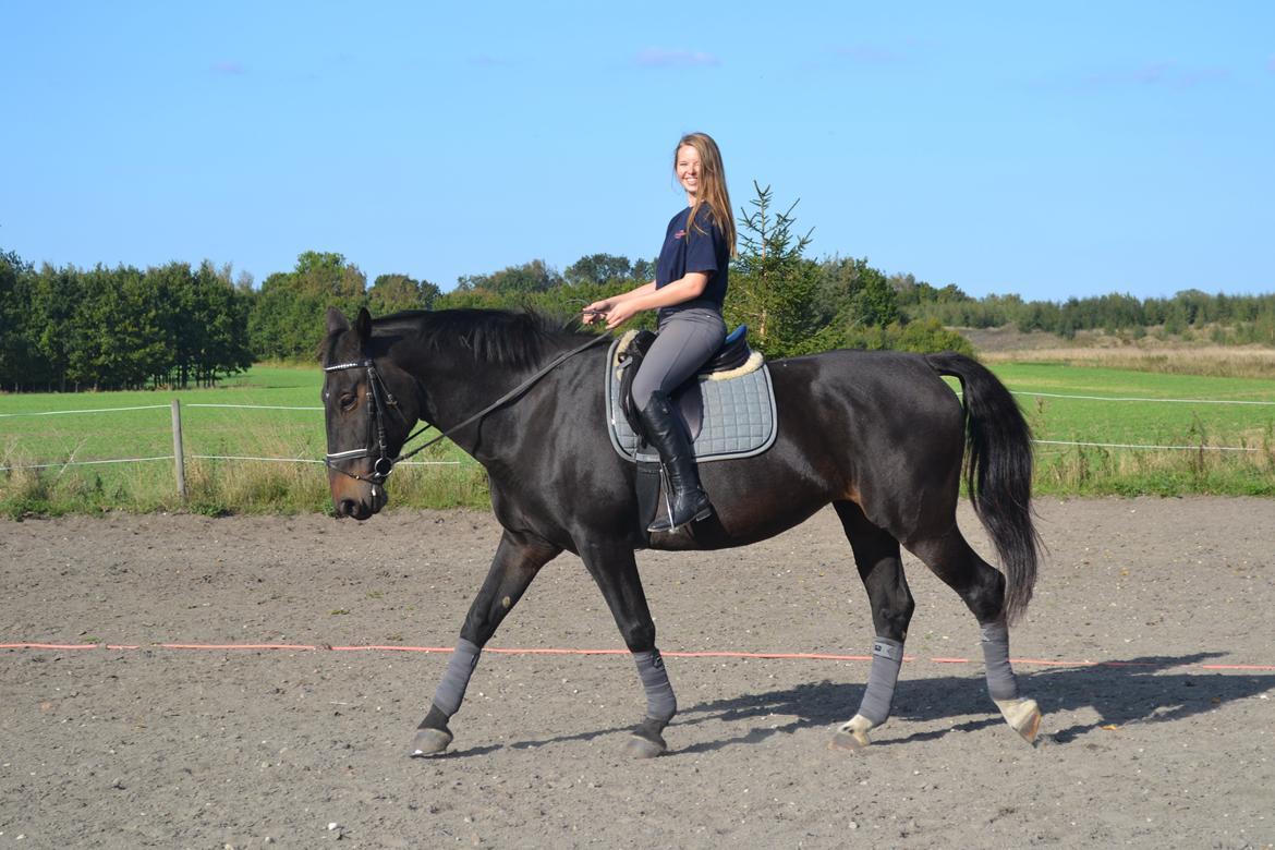 Anden særlig race Hermione billede 14