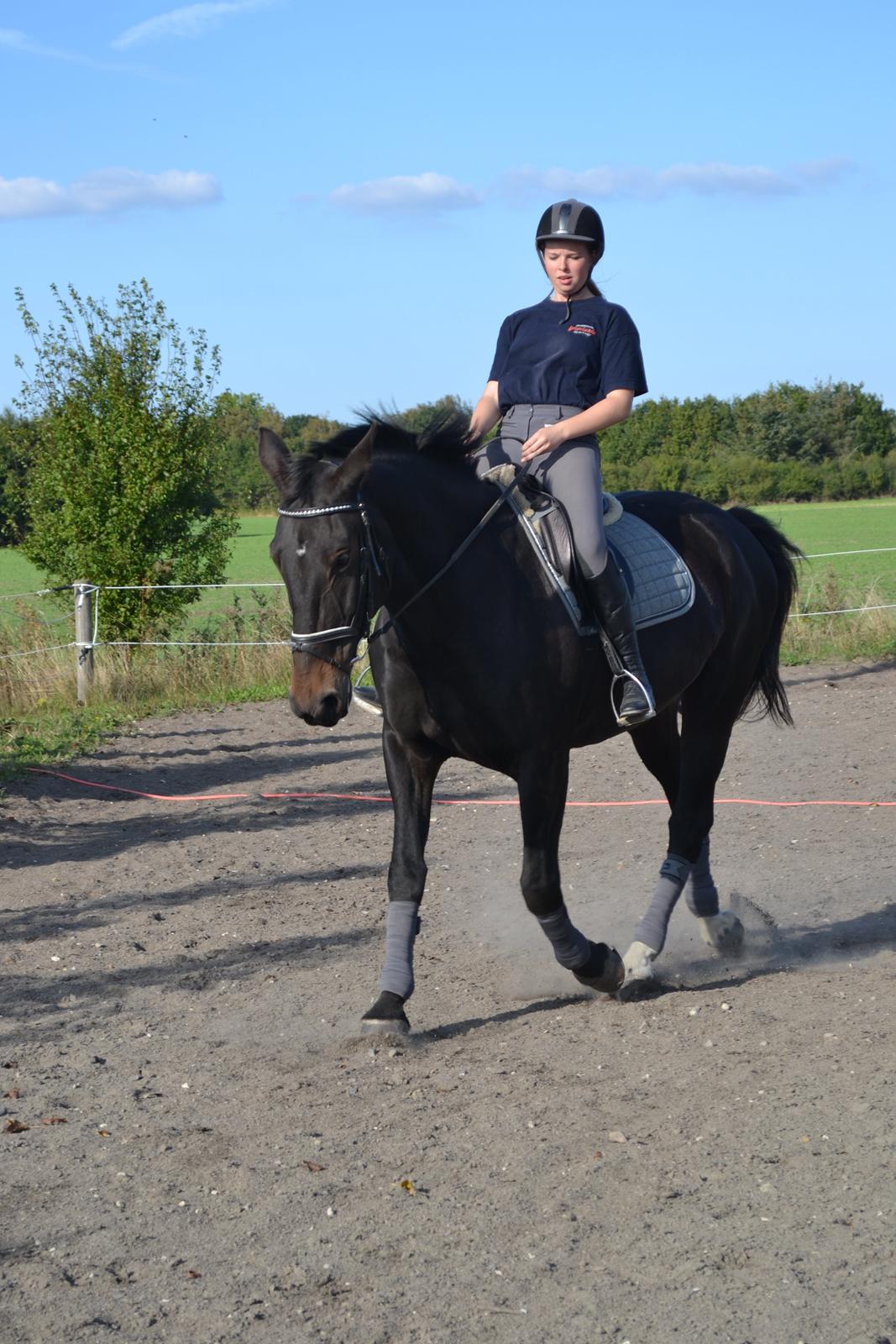 Anden særlig race Hermione billede 15