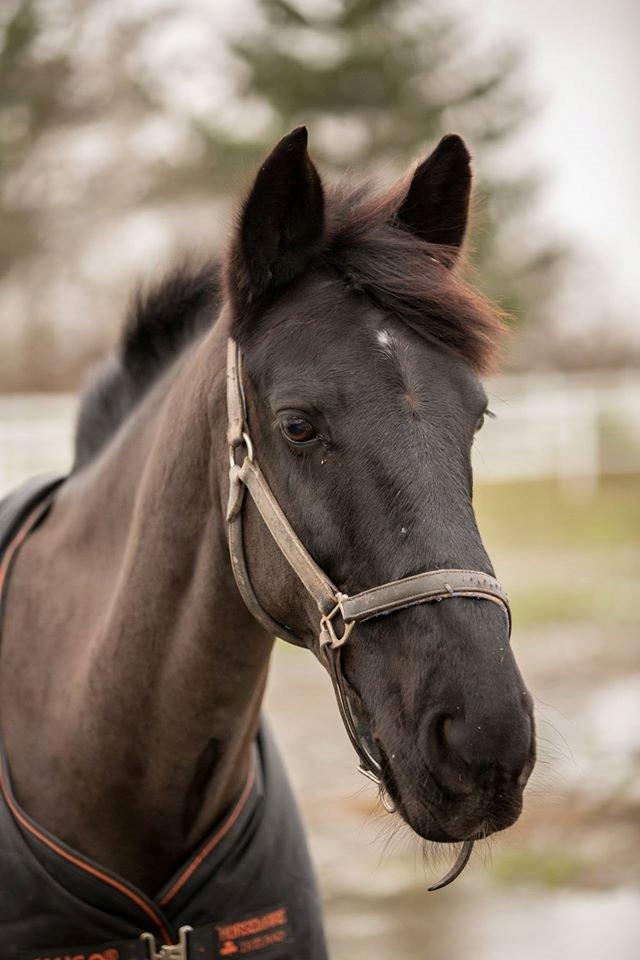 Oldenborg Benjamin billede 2