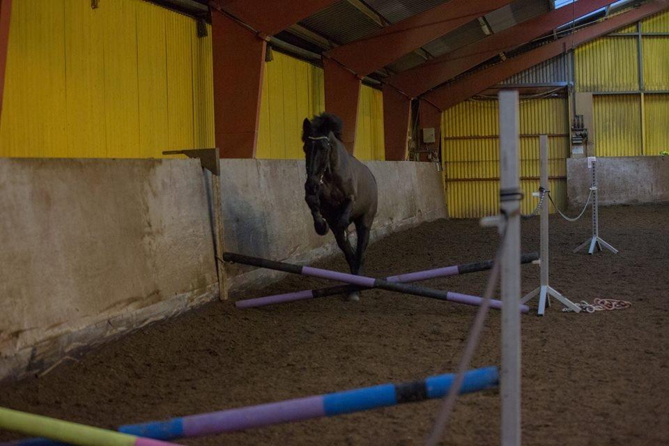 Oldenborg Benjamin billede 4