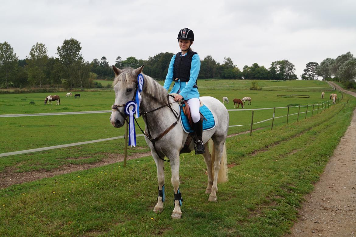 Anden særlig race Blue Fancy (Lille Grå) - 14. klubmesterskab anden plads en tiende del fra 1 plads, manuel tidstagning ;) billede 14