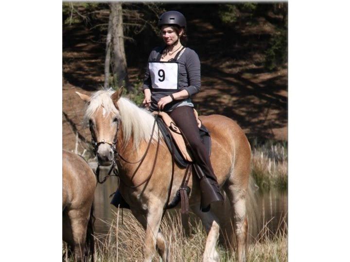 Tyroler Haflinger Alwina Stenbek - TREC, Hjortespring, april 2014. billede 4