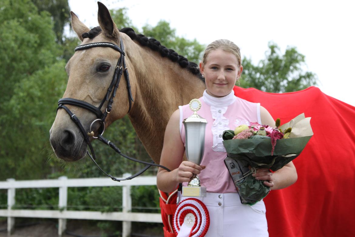 Irsk Sportspony Lindholms Dunhill - Klubmester dressur 2014 <3 billede 1