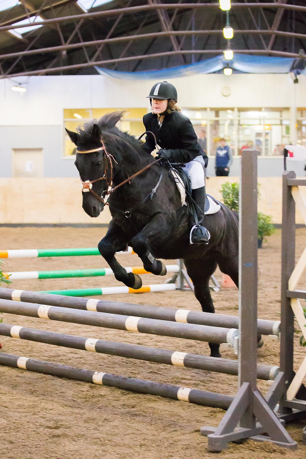 New Forest Martini hedevang billede 6