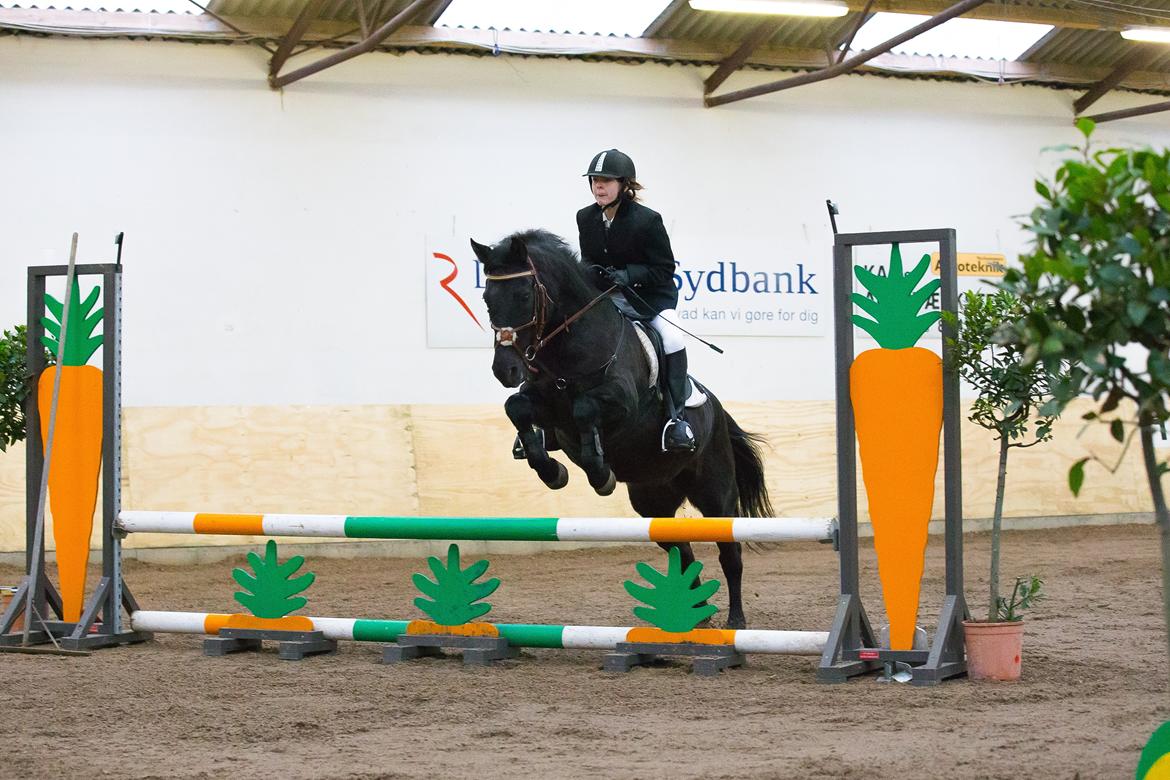 New Forest Martini hedevang billede 11