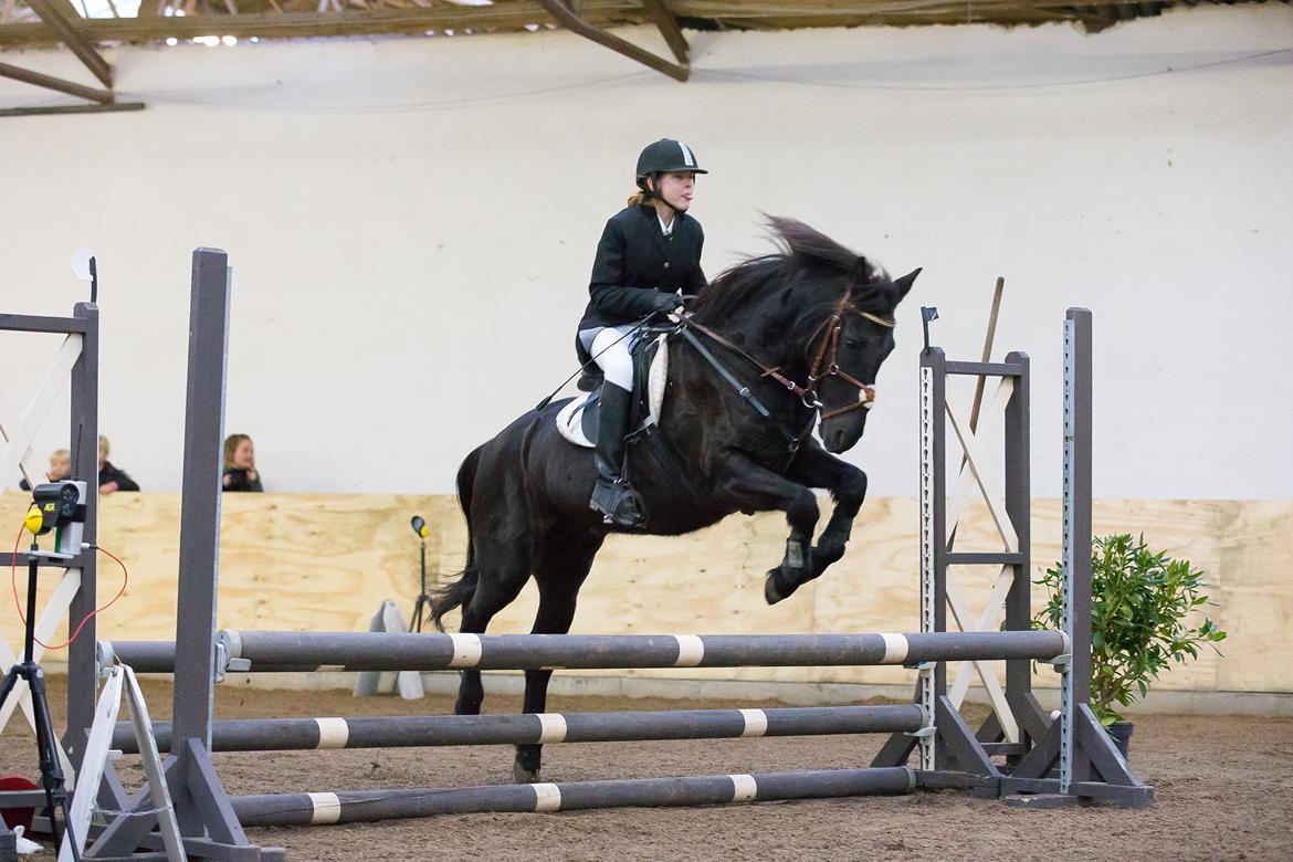 New Forest Martini hedevang billede 10