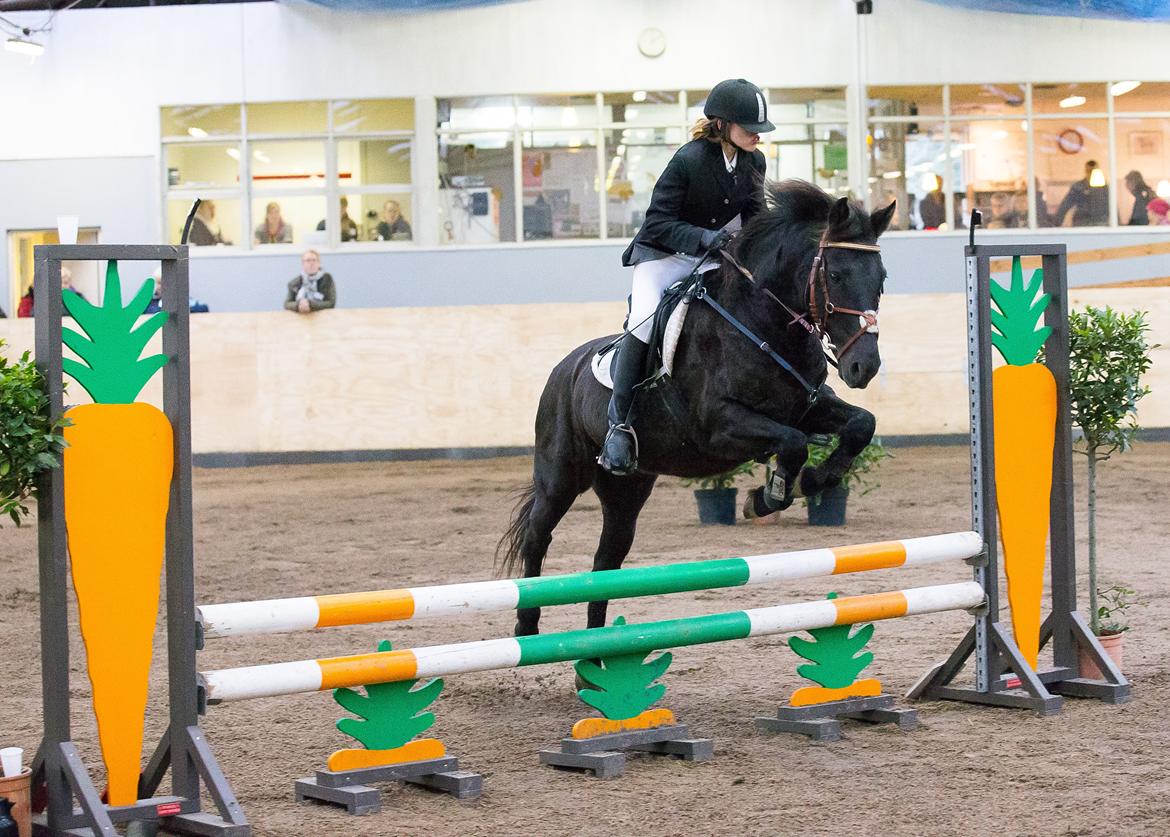 New Forest Martini hedevang billede 13