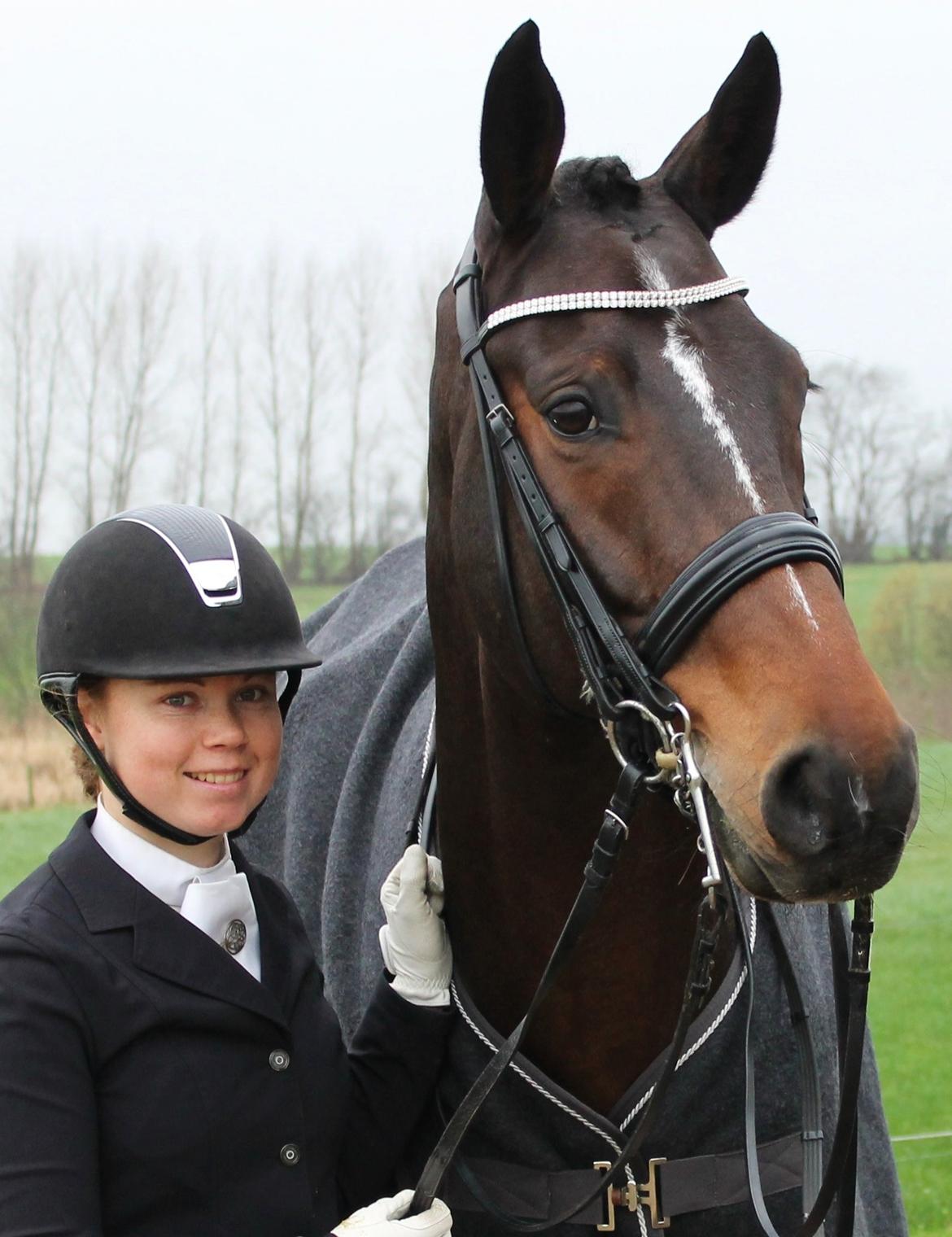 Dansk Varmblod Ganesh billede 23