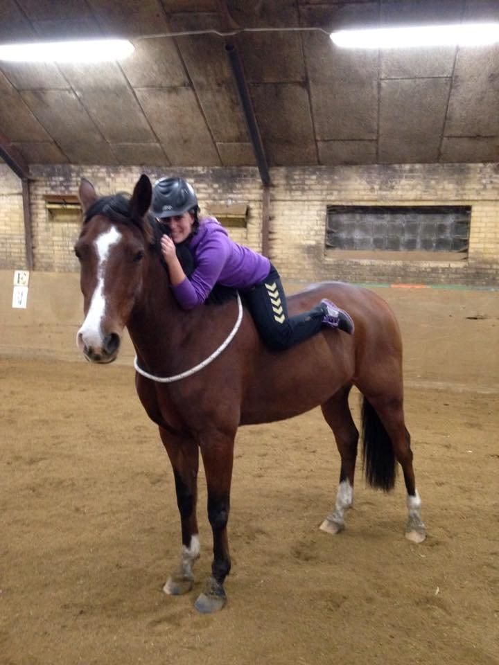 DSP Haahr`s Dumbledore - min Bedste dreng  billede 1