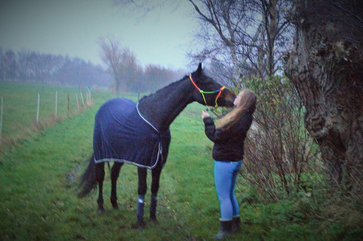 Anden særlig race Gipsy Girl billede 3