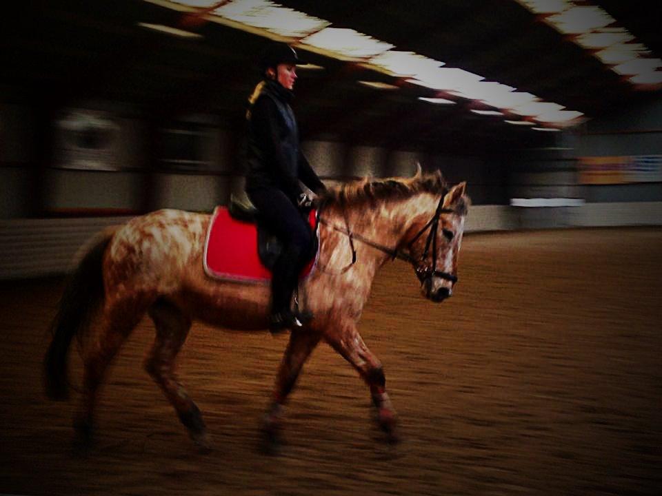 Anden særlig race Little Kahlua  - Så mange fremskridt <3 billede 19