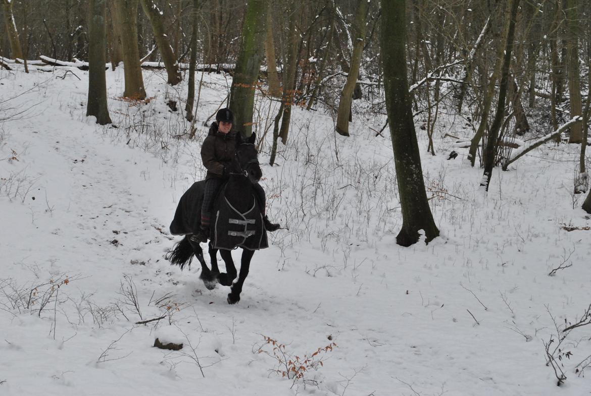 Frieser Tessa billede 16