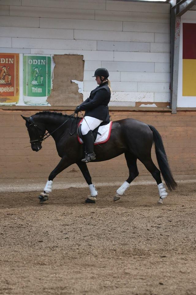 DSP Lille Asserholt Infinity billede 13