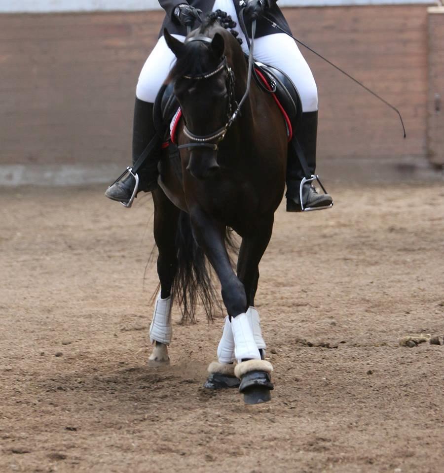 DSP Lille Asserholt Infinity billede 14