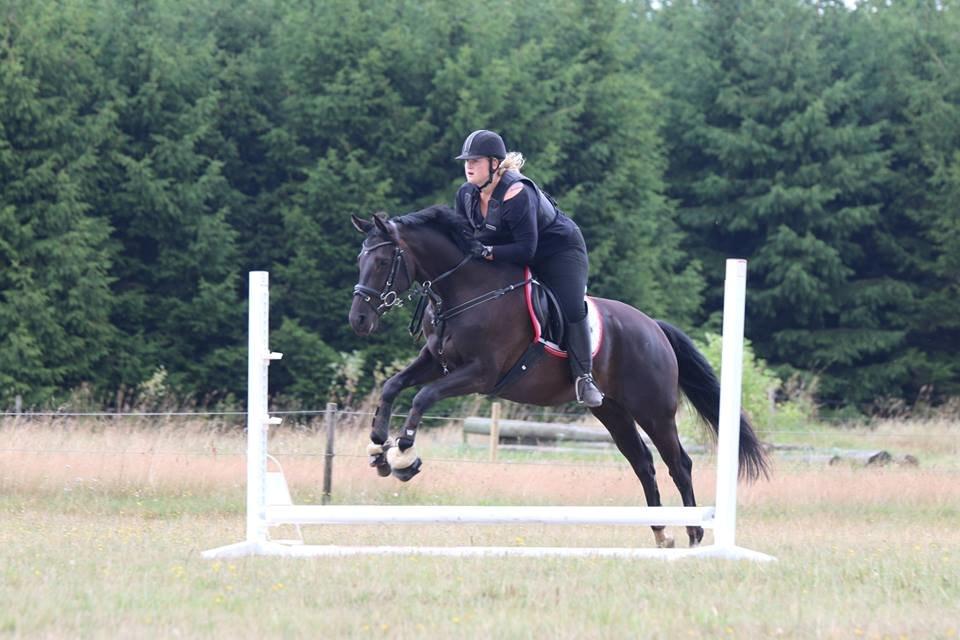 DSP Lille Asserholt Infinity billede 18