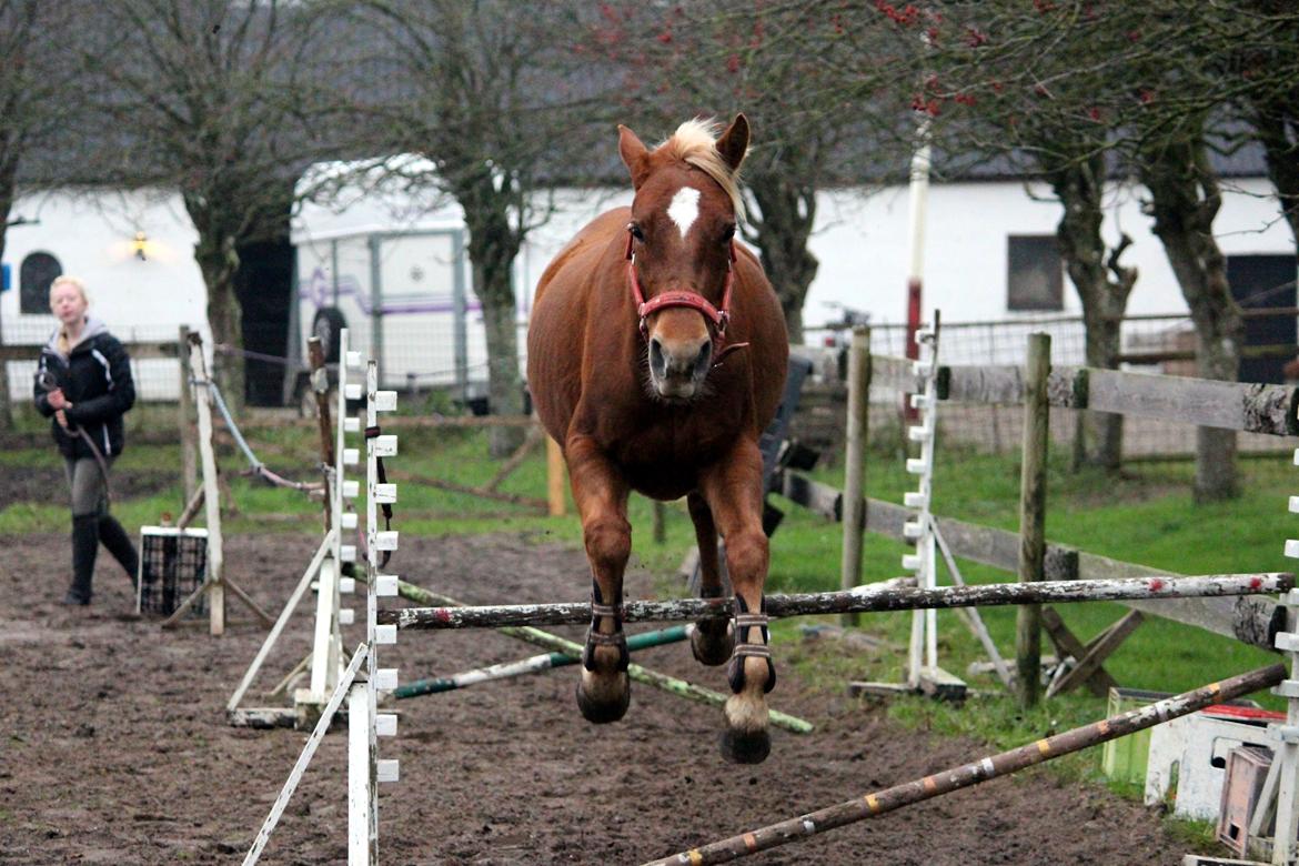 DSP Sunspot billede 19