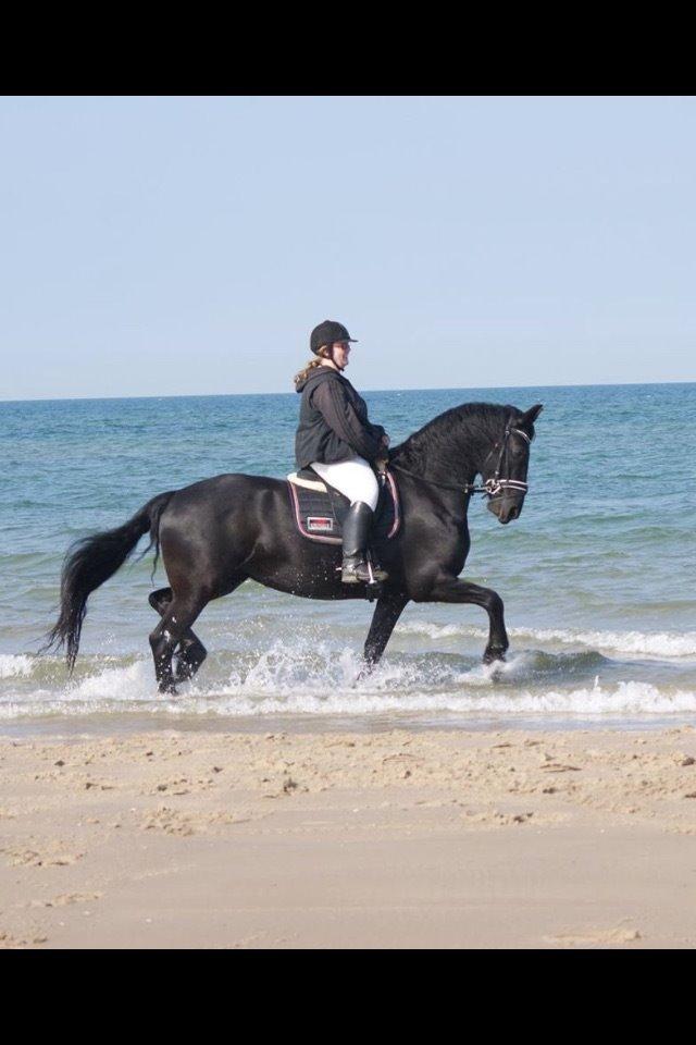 Frieser Zafir of Yderheden billede 14