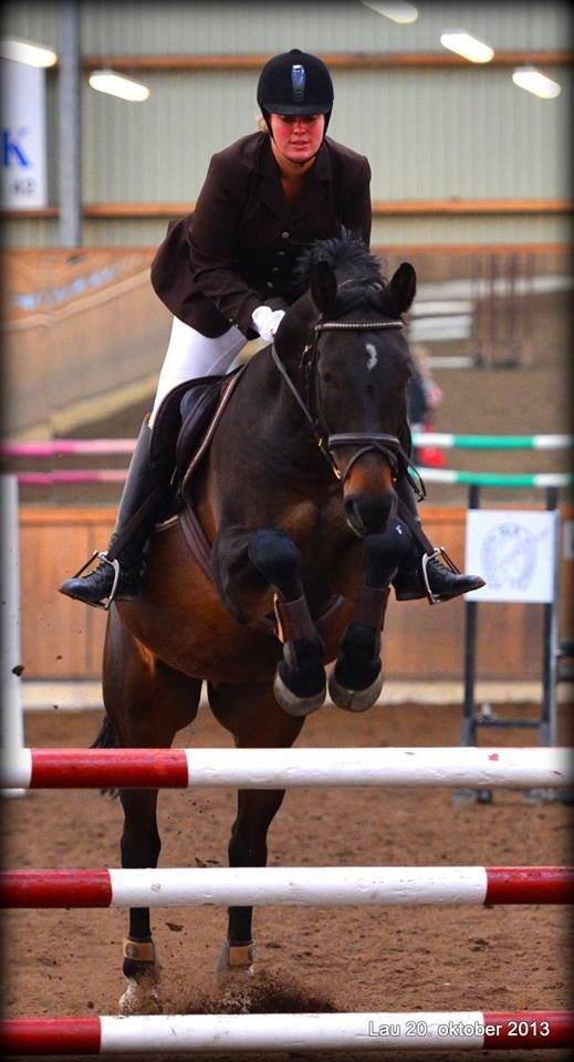 Anden særlig race Platinico billede 10