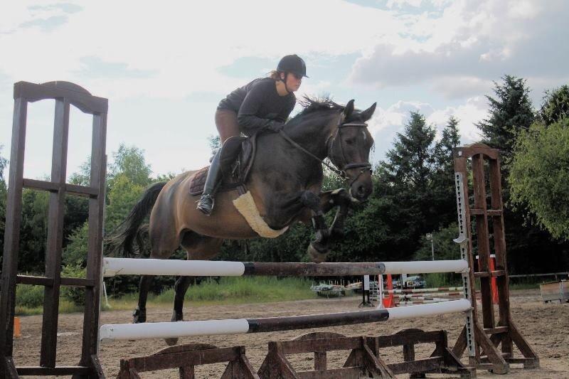 Anden særlig race Platinico billede 14