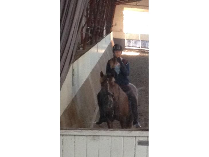 {{currentPhoto.altText}} billede {{currentPhoto.number}}