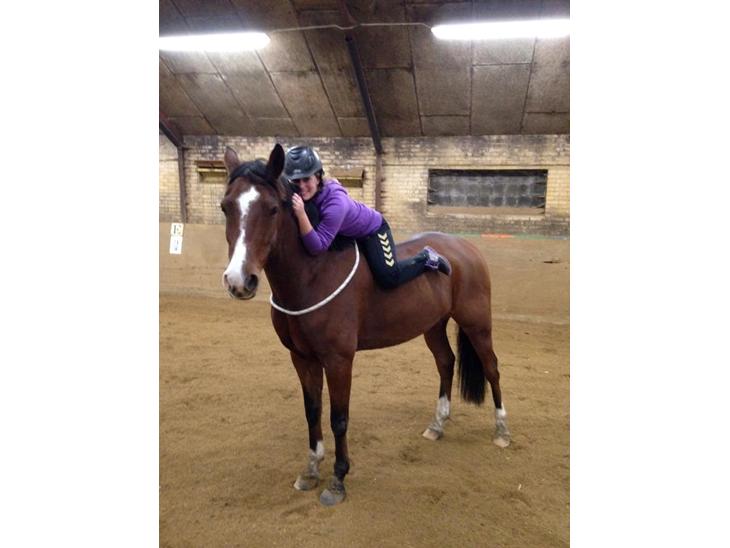 {{currentPhoto.altText}} billede {{currentPhoto.number}}