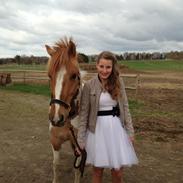 Anden særlig race Felix