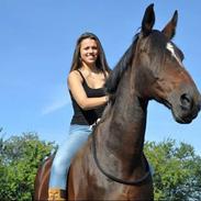 Anden særlig race Malpa [Himmel hest]