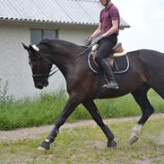 Oldenborg Overdrevsgårdens Mads