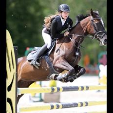 Anden særlig race Fausta