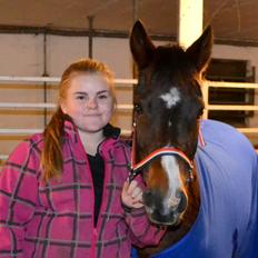 New Forest Beauty Britt(Bella)