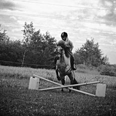 Anden særlig race Freja (mit et og alt)<3