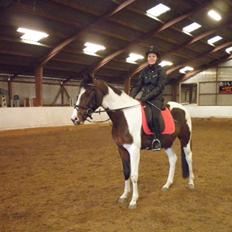 Anden særlig race Refsgaards Mon´Cheri. SOLGT