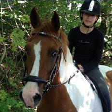 Anden særlig race Pepsi