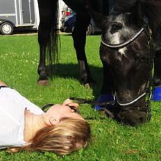 Anden særlig race Lukas