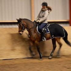 Pinto Symfoni Nyberg (Smølfen)