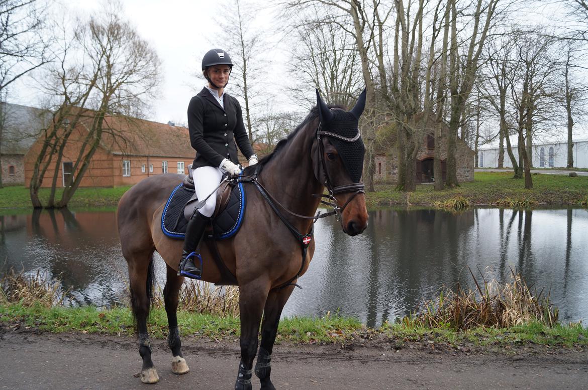 Dansk Varmblod FIGHTER - Christmas Warm Up på Vilhemsborg den 26 november 2014 billede 19