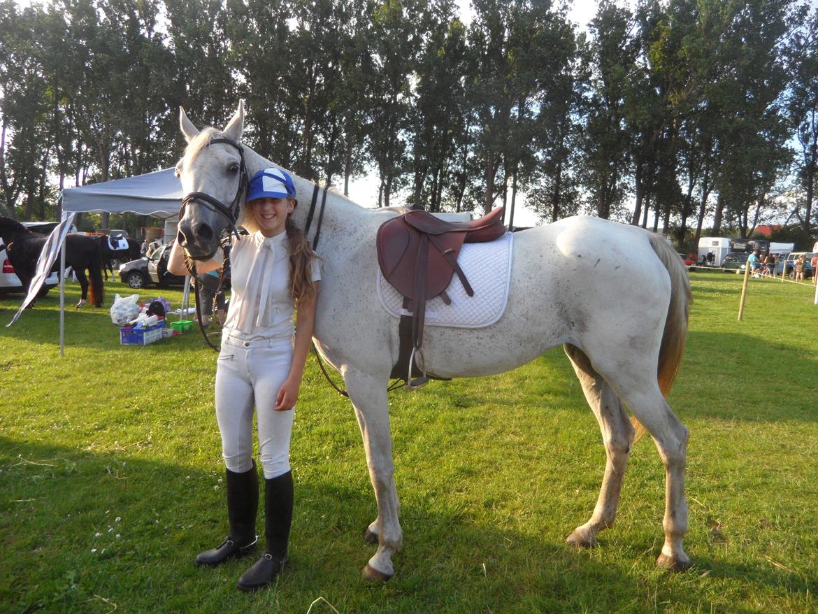 Arabisk fuldblod (OX) Madeline OX (Ringridderhest) - Aabenraa Ringridning 2014 billede 5