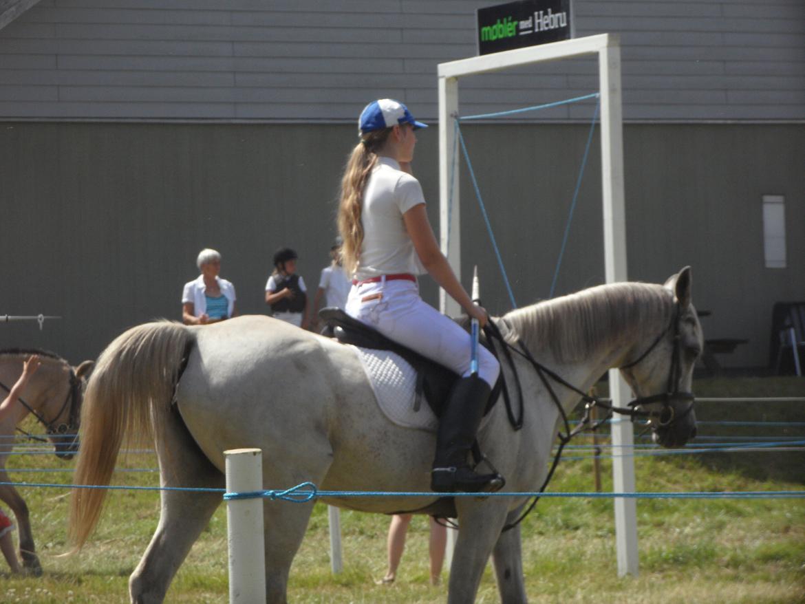 Arabisk fuldblod (OX) Madeline OX (Ringridderhest) - Vilsbæk Ringridning 2014 billede 11