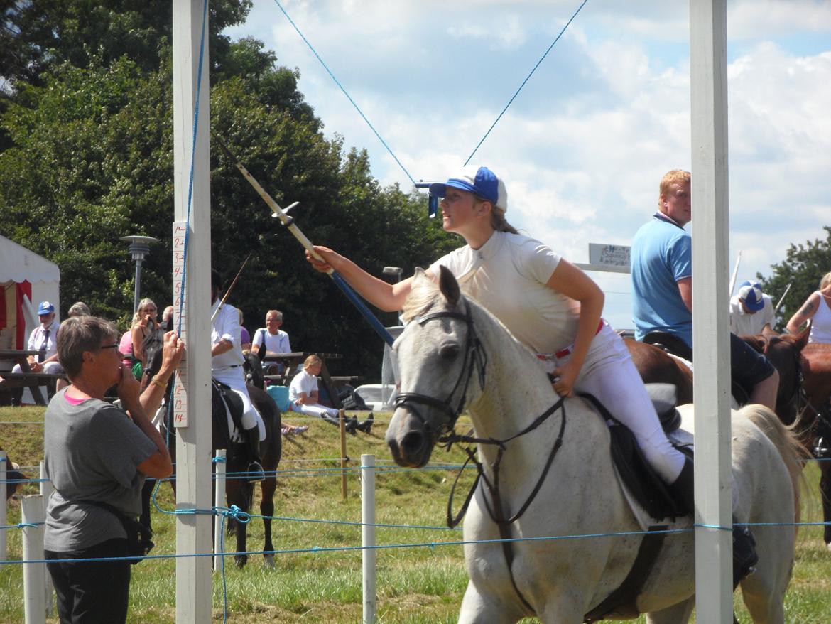 Arabisk fuldblod (OX) Madeline OX (Ringridderhest) - Vilsbæk Ringridning 2014 billede 13