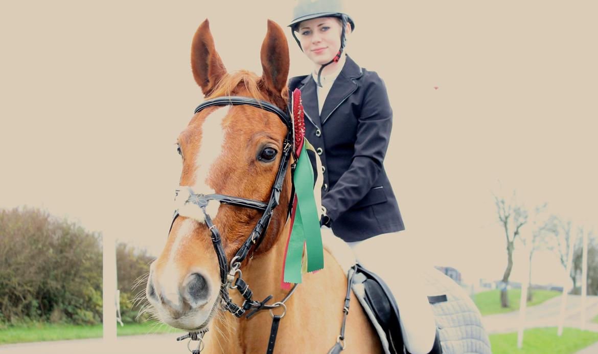 Tysk Oldenburger Bladsgaards Windy Sky - Chrsitmas show warm up 26/11-14 LB1* 11 plads billede 8