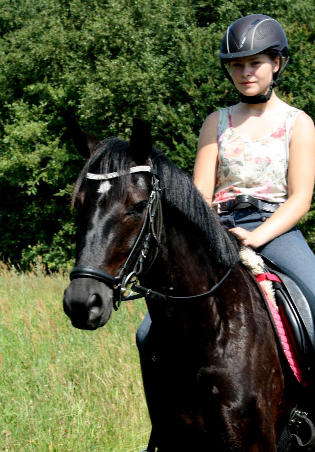 Welsh Partbred (Sec F) Mirain cappuccino *sorte* - Smukke pony<3 billede 16