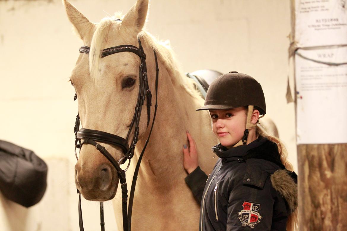 Palomino Kaergaardens ripasso billede 13