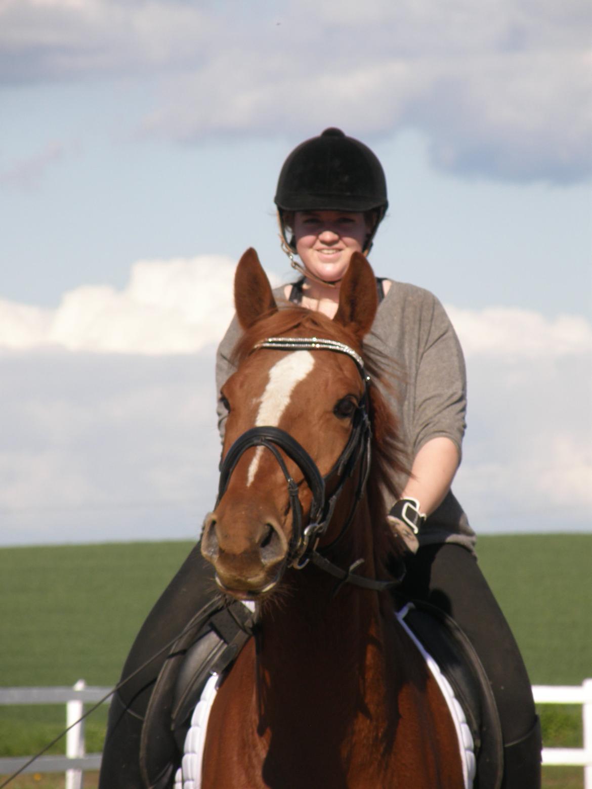 Dansk Varmblod Ørnemosegårds Ecco - Ecco hygger sig - maj 2014 billede 11