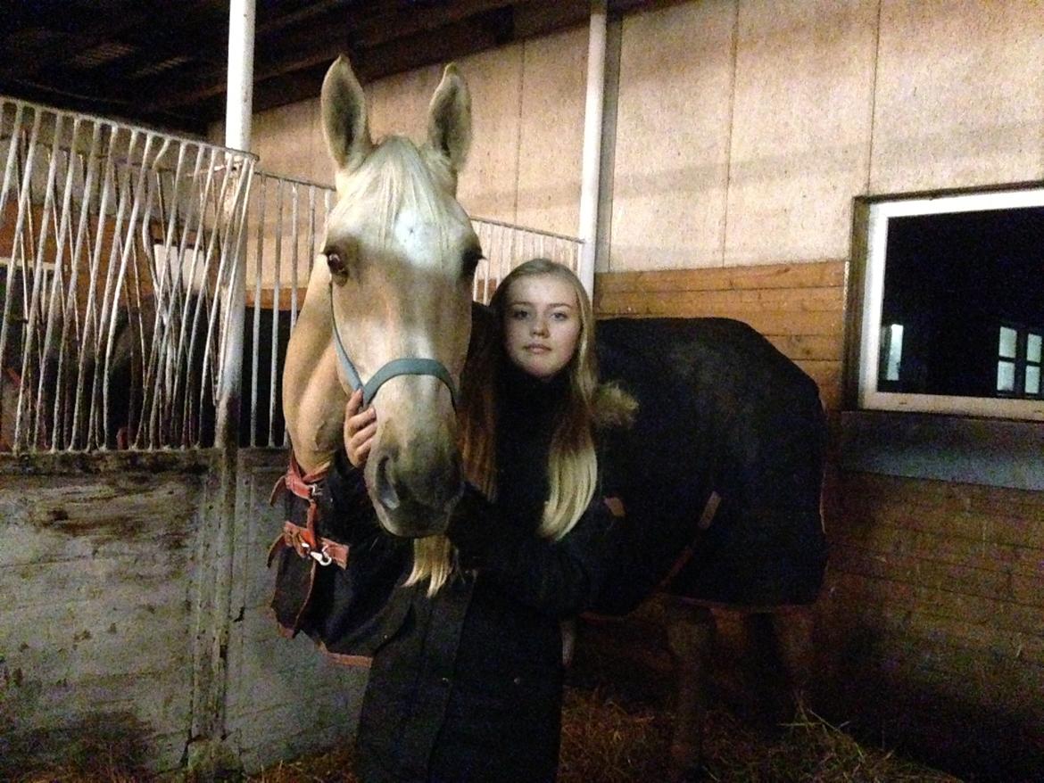 Palomino Kaergaardens ripasso - Lige kommet hjem til sin nye boks billede 31