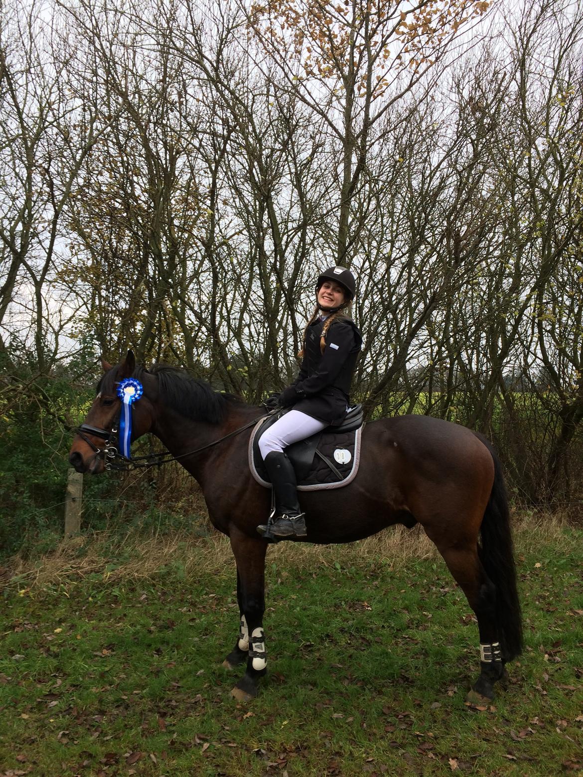 Hollandsk Sportspony Traquito. billede 19