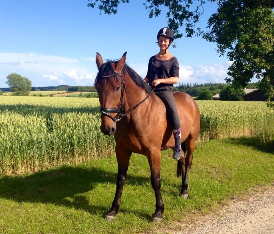 Anden særlig race Contess - Forår 2015 billede 16